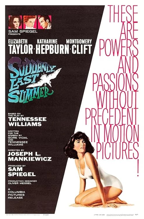 Suddenly, Last Summer film posteri