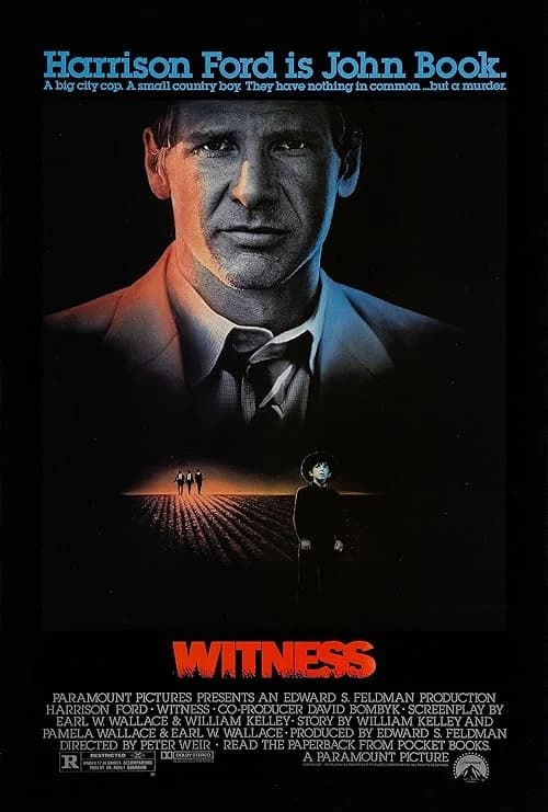 Witness film posteri